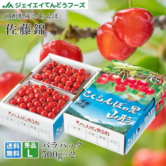 予約商品 さくらんぼ ギフト 山形 佐藤錦500g×2バラパック L玉サイズ 秀品
