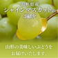 訳あり ぶどう 皮ごと食べられる シャインマスカット 約2kg 山形県産 ご自宅用 葡萄 【9月中旬頃より発送予定】 gr07