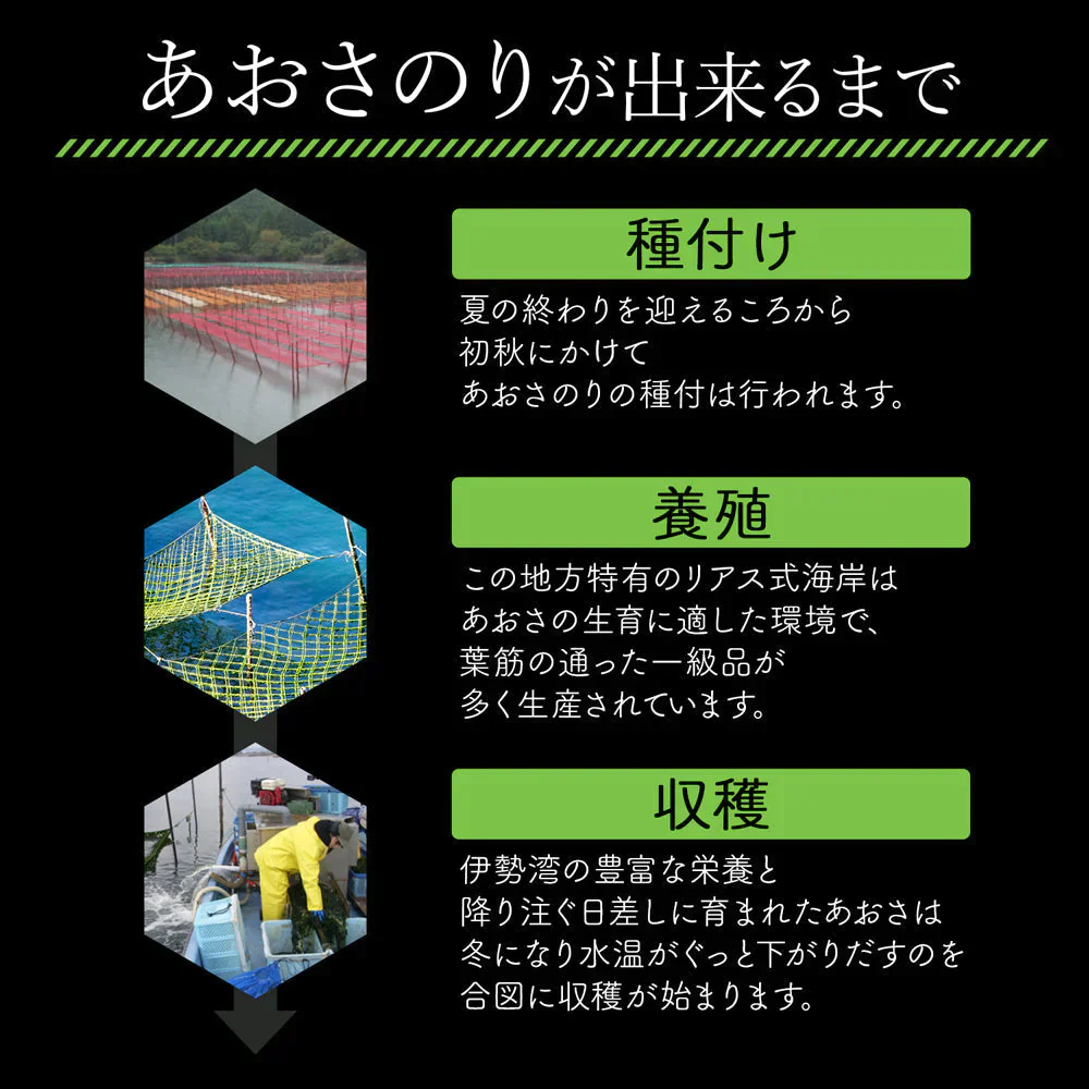 上級 あおさのり 30g×2袋 乾燥 三重県伊勢志摩産 業務用 あおさ のり 海苔 ヒトエグサ ひとえぐさ メール便 送料無料