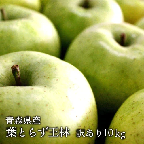 【予約受付中】青森県産 訳あり 葉とらず 王林 りんご 約10kg※11月上旬頃から予約順発送※