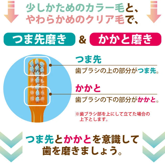 歯ブラシ まとめ買い Ci PRO PLUS（プロプラス） Sやわらかめ 50本入り