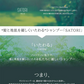 植物由来の保湿成分を贅沢に配合【シャンプ】SATORI サトリボタニカル ふんわり香るローズの香り 480ml / ノンシリコン ヘアケア ダメージケア