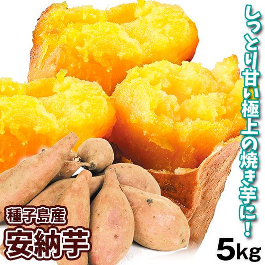 さつまいも 5kg 安納芋 正品 種子島産 送料無料 食品(発送予定:2026年11月中旬より)