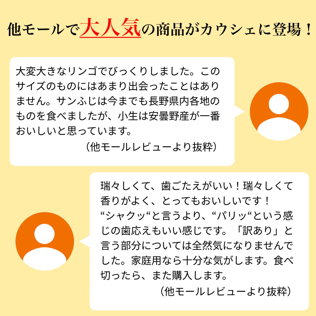「サンふじ3キロ箱訳アリ品」農林水産大臣賞 訳あり りんご サンふじ ふじ 長野県産 安曇野 信州産 産地直送 送料無料 3キロ 箱使用 果物 フルーツ 鮮度抜群 産地直送