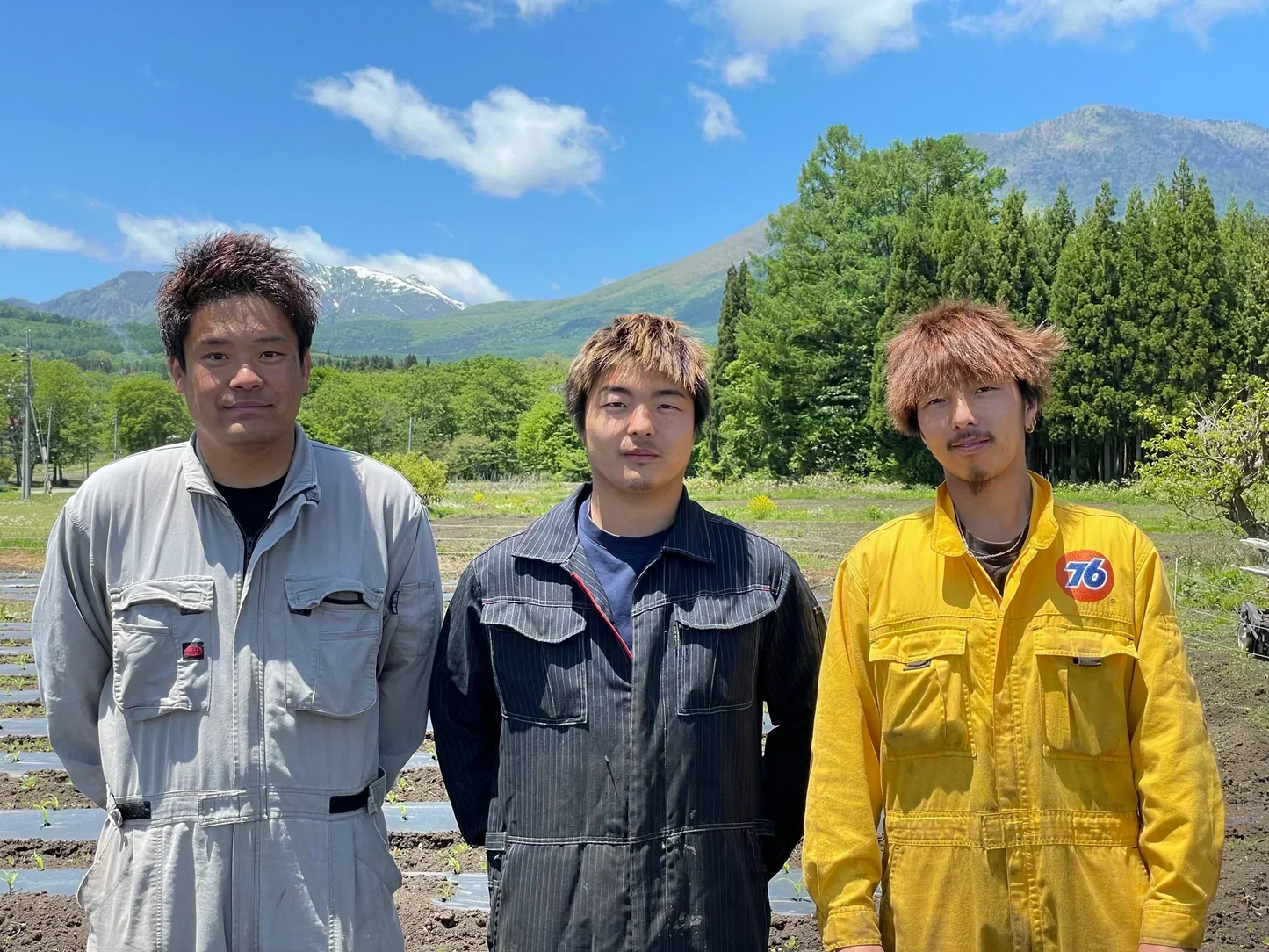 期間限定販売　北海道きたあかり新じゃが10キロ