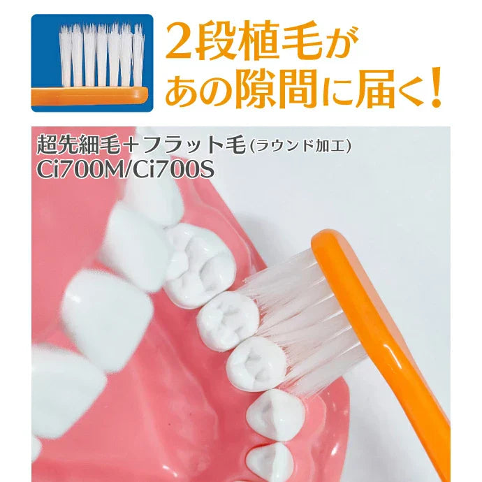 歯ブラシ Ci702 極薄ヘッド Mふつう 50本入り