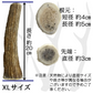 Deerhorn【XLサイズ】 北海道産 鹿角 ペット 犬 おもちゃ 超大型犬 プレゼント いたずら防止 おやつ デンタルケア ガム 犬用 鹿の角 天然 無添加 セントバーナード シベリアンハスキー バーニーズ いぬ イヌ