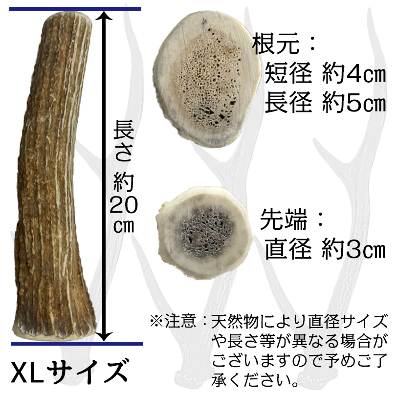 Deerhorn【XLサイズ】 北海道産 鹿角 ペット 犬 おもちゃ 超大型犬 プレゼント いたずら防止 おやつ デンタルケア ガム 犬用 鹿の角 天然 無添加 セントバーナード シベリアンハスキー バーニーズ いぬ イヌ
