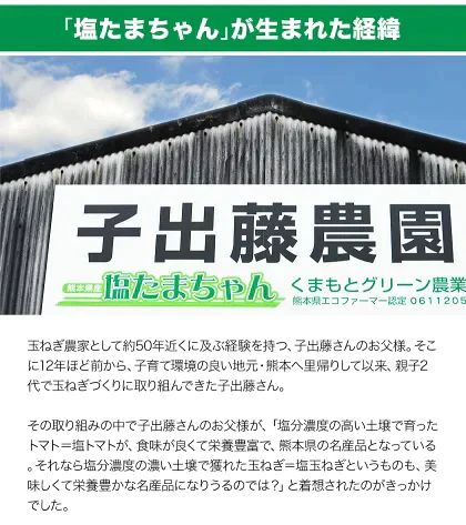 熊本県産 訳あり 塩たまちゃん 玉ねぎ たまねぎ 5kg 【5L-2Sサイズ不選別】 子出藤 (ねでふじ)さん 送料無料 塩タマネギ 新たまねぎ 塩玉ちゃん 塩玉 お取り寄せ お取り寄せグルメ《7-14営業日以内に出荷(土日祝除く)》