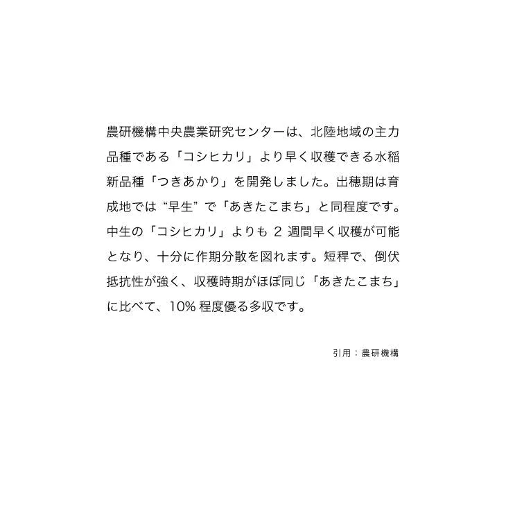 つきあかり 10kg 新米 令和5年 栃木県産 大粒で良食味 送料無料