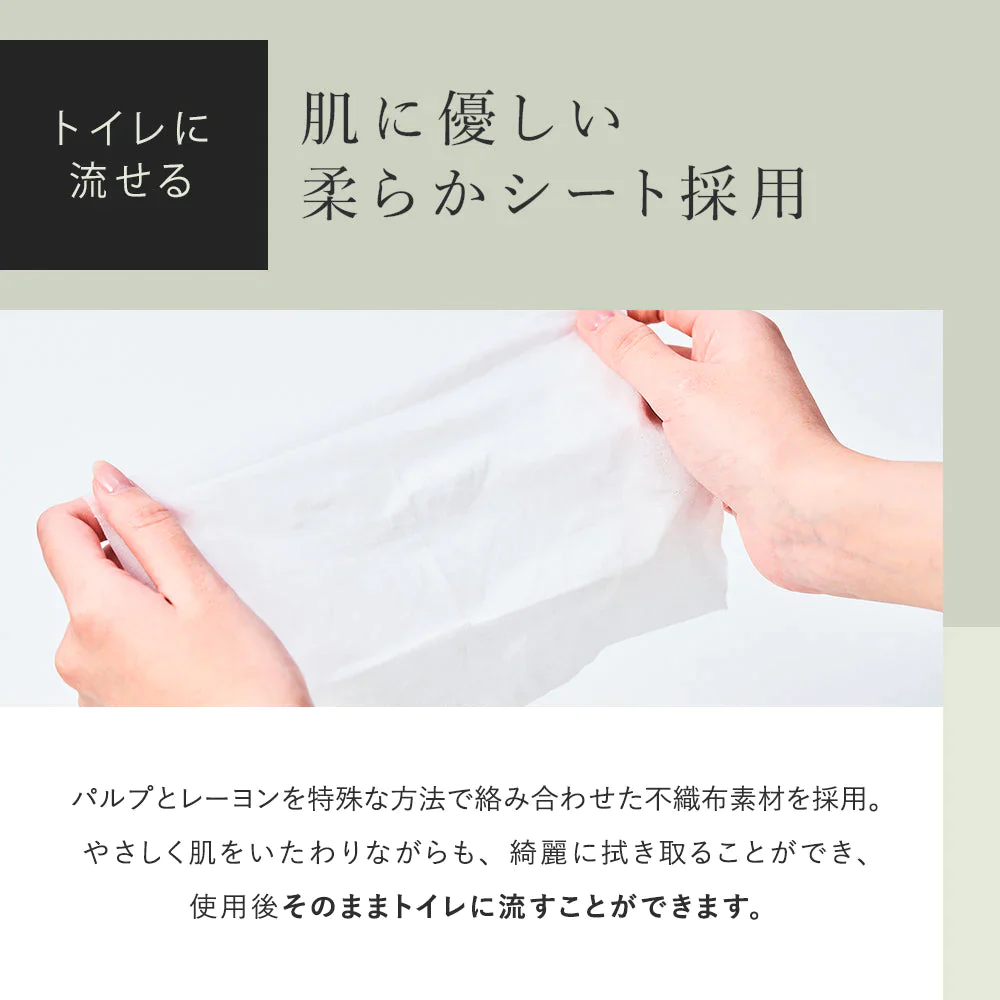【LUMERE BEAUTY フェムケアシート 10枚入り】ルメール デリケートゾーン vio