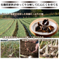 黒にんにく 黒ニンニク 100g にんにく ニンニク ガーリック  ギフト 産地直送 国産 大分県日田産