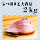 天然ブリ 冷凍 ブツ切り 2kg