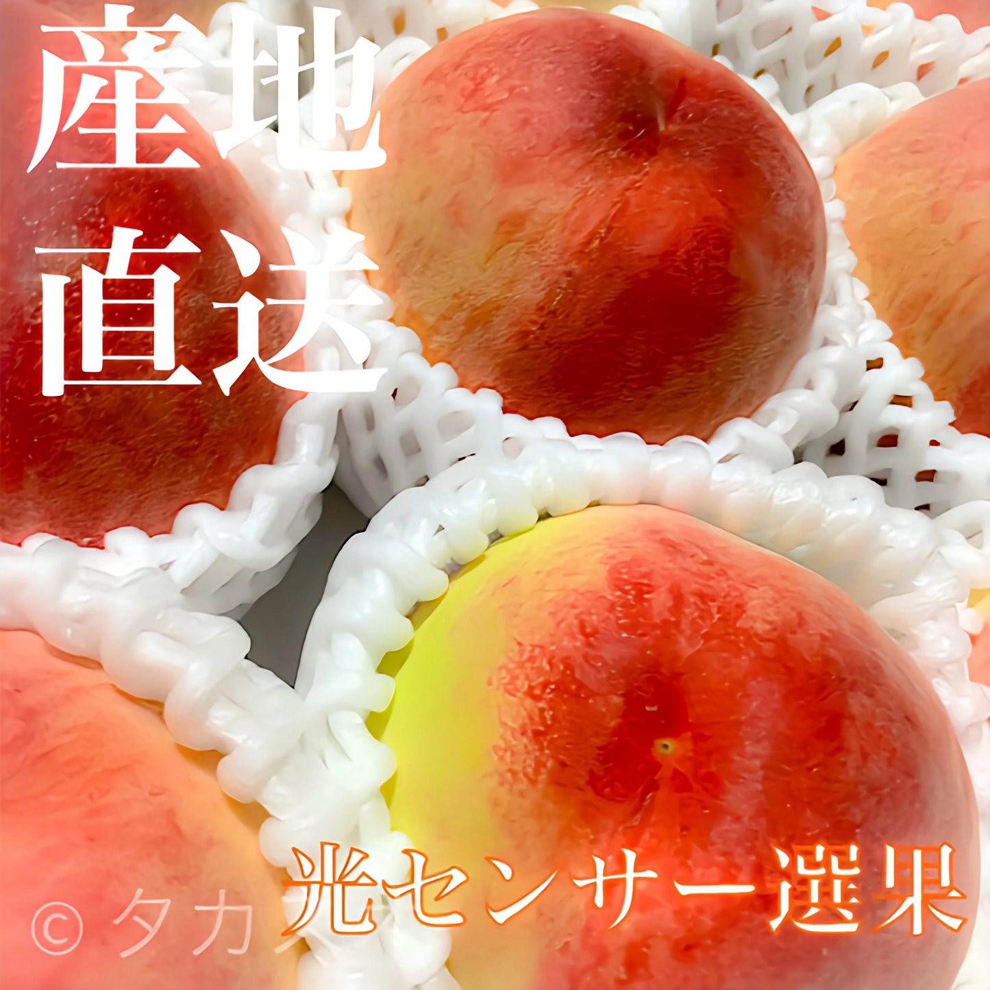 【送料込み】 桃 日川白鳳 白鳳 お裾分け箱 お試し品 産地直送 ４〜５玉入り 光センサー選果で安心 和歌山県産 紀の川名産 ６月下旬より順次発送 ６月下旬【日川白鳳】７月上旬【白鳳】