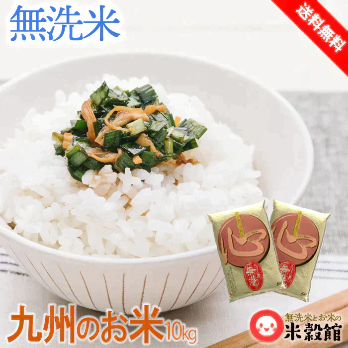 令和7年産 無洗米 九州 10kg 九州産米単一原料米 無洗米「心(こころ)」5kg×2個セット 送料無料 令和7年産