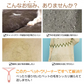 【グリーン】カーペットクリーナー ブラシ 毛玉取り機 毛玉取り器 2本セット【カウシェファーム収穫対象商品】