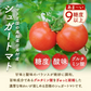 高知県日高村のフルーツトマト入りスープ25包 個包装 送料無料