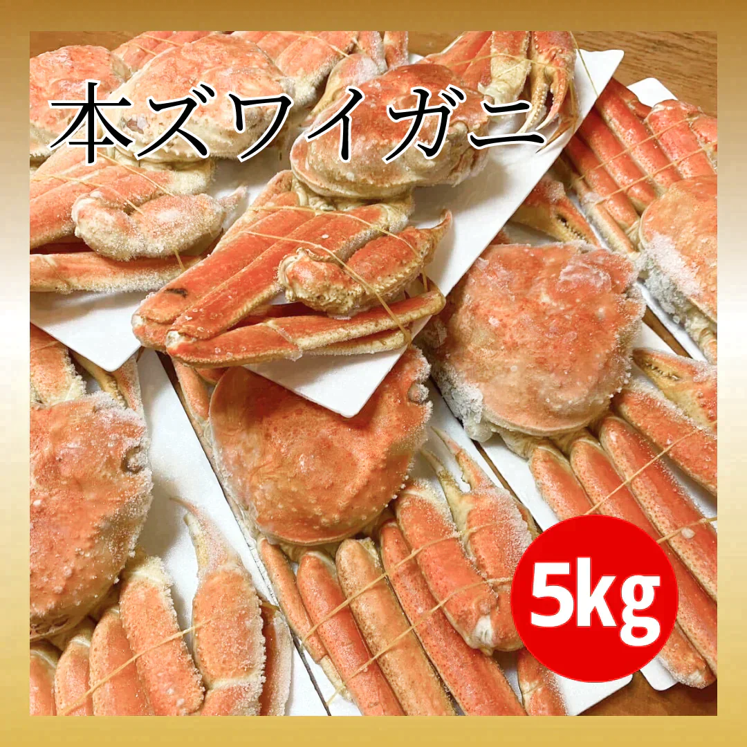 ボイル本ズワイ蟹　5㎏　発泡箱入り（1尾あたり約700g）