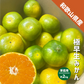 みかん 極早生 和歌山県産 約2kg S〜Lサイズ ご家庭用 紀南 有田 ミカン 極早生みかん ご自宅