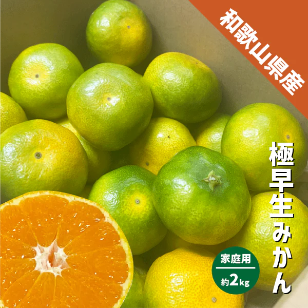 みかん 極早生 和歌山県産 約2kg S〜Lサイズ ご家庭用 紀南 有田 ミカン 極早生みかん ご自宅