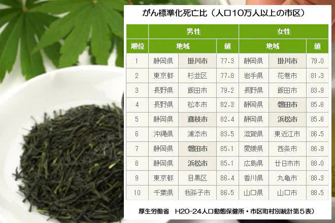 【２袋】深蒸し茶・静岡掛川茶／まろやかでコクがある、自然の甘み深い味わい