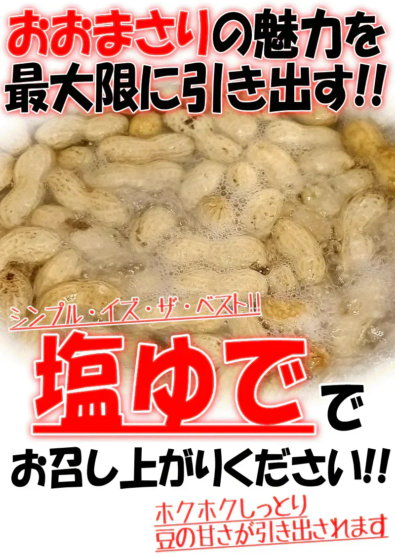 【数量限定】千葉県産　おおまさり　生落花生　1㎏　有機栽培