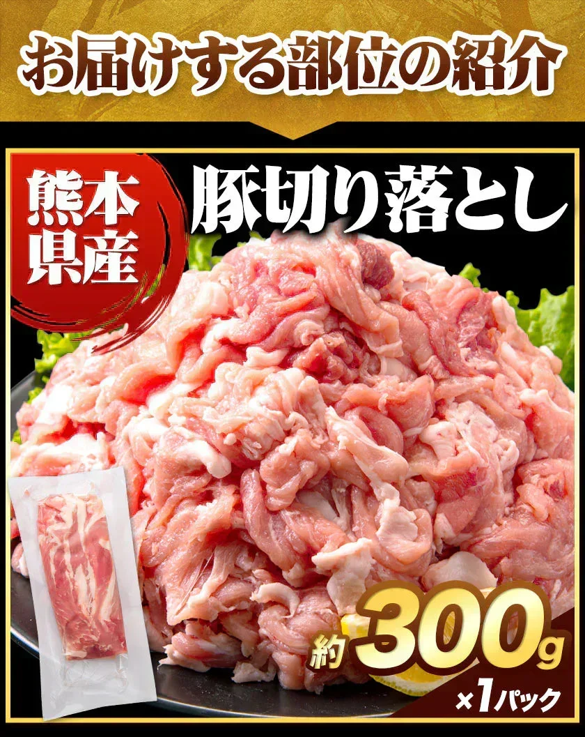 総重量1,520g! お肉5種 バラエティセット 肉 豚肉 鶏肉 ハンバーグ 5種 大容量 肉 福袋 切り落とし 豚ミンチ 国産 豚 ミンチ うまかチキン 若鶏 モモ肉 むね肉 デミグラス  《1-3営業日以内に発送予定（土日祝除く）》