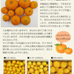産地直送 熊本県産 みかん 訳あり 送料無料 熊本ミカン 大玉 小玉 不選別 規格外 果物 柑橘 九州 訳アリ 蜜柑 みかん 3-7営業日以内に発送予定（土日祝除く）