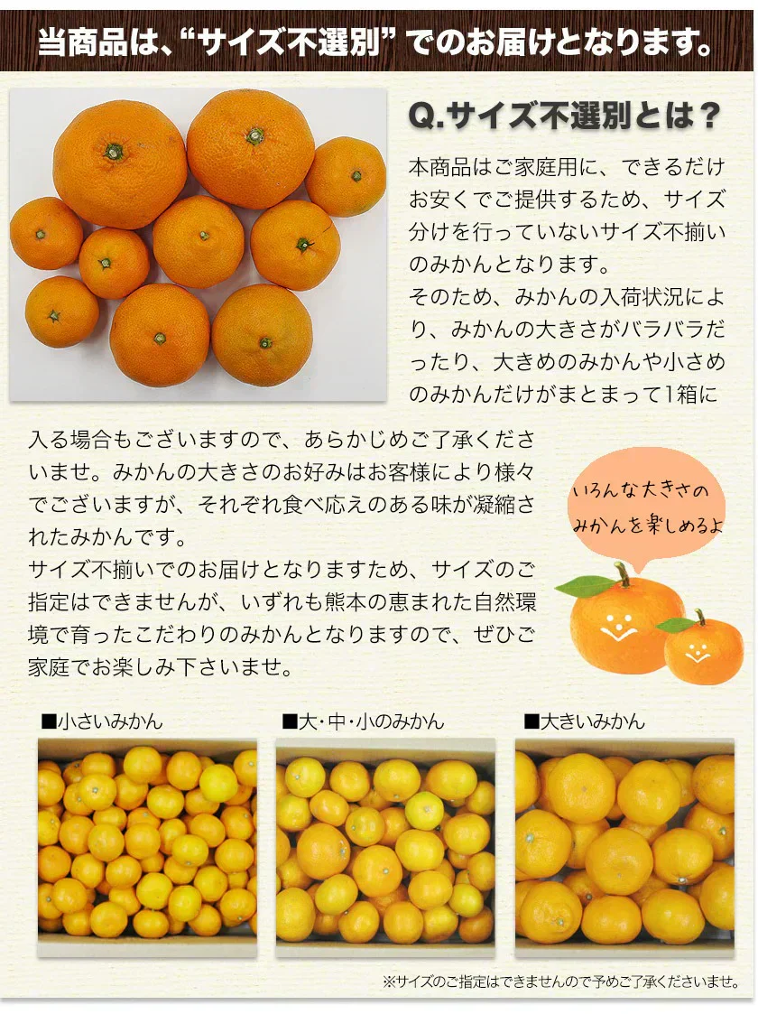 産地直送 熊本県産 みかん 訳あり 送料無料 熊本ミカン 大玉 小玉 不選別 規格外 果物 柑橘 九州 訳アリ 蜜柑 みかん 3-7営業日以内に発送予定（土日祝除く）