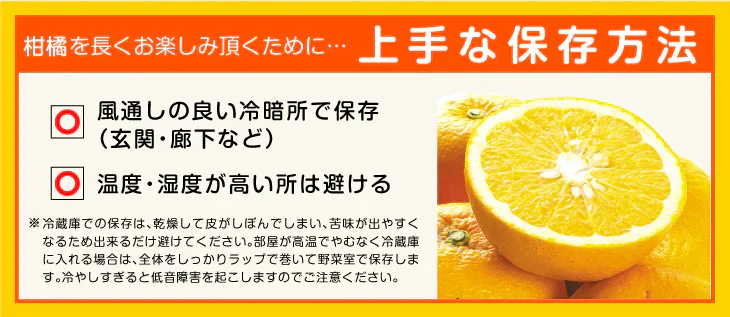 みかん　大分産　はるみ　1.5kg　ご家庭用（発送予定：2025年3月中旬より）