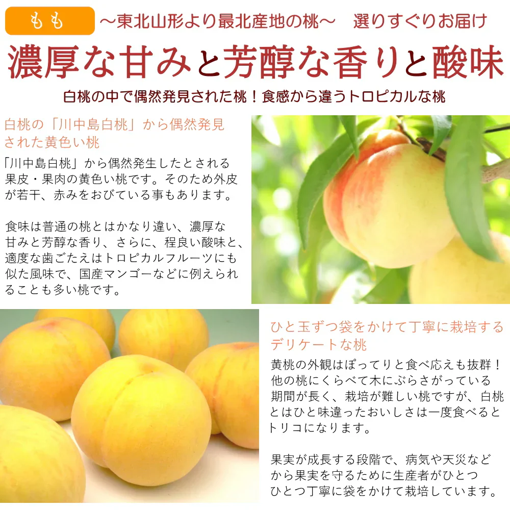 黄桃 6-8玉入り 約2kg 化粧箱 贈答 ギフト プレゼント もも 桃 きいろ モモ 山形 産地直送 送料無料