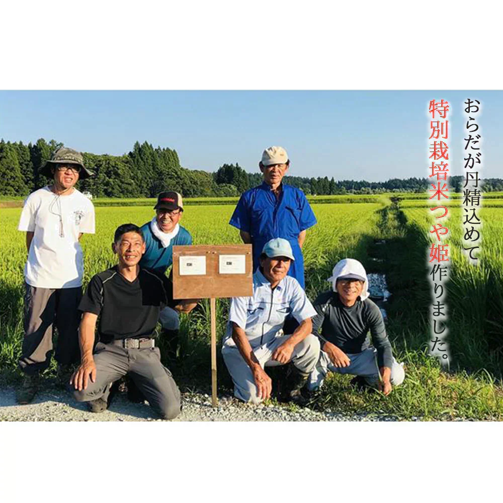 米 2kg つや姫  精米 山形県産 送料無料 ギフト 令和6年産 単一原料米 ブランド米 こめ コメ 白米 産地直送 kkb-001