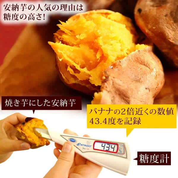 お芋専門店のケーキ『安納芋のキャラメルムース』 【おいもや】 5号・3～4人用