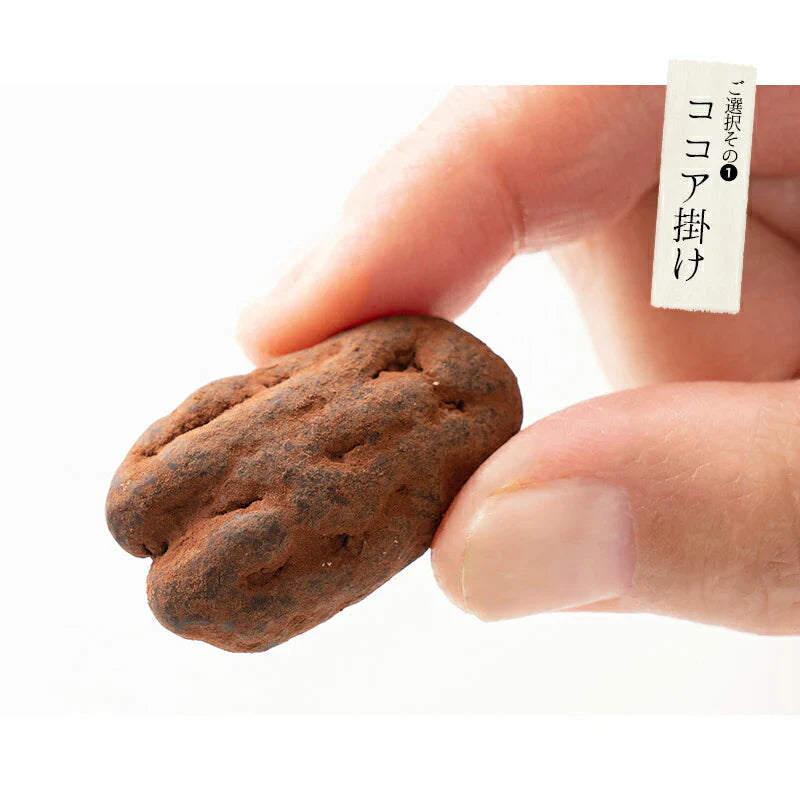 ピーカンナッツ チョコレート 100g（1袋） キャラメル ピーカンナッツチョコ ココア ナッツ チョコ バレンタイン スイーツ お菓子 贈り物 美味しいもの ［送料無料］ ギフト プレゼント ※ポスト投函商品の発送は1～2週間前後になります