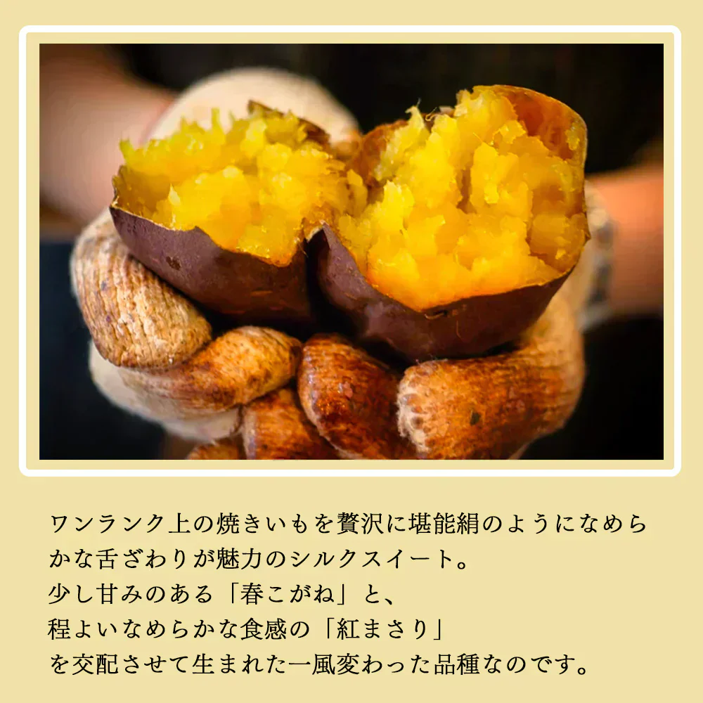 さつまいも ５KG 紅はるか 紅東 或いはシルクスイート サツマイモ 焼き芋に 千葉県・茨城県産地厳選 秀品 美味しい やきいもに 食物繊維 美容 スイーツ