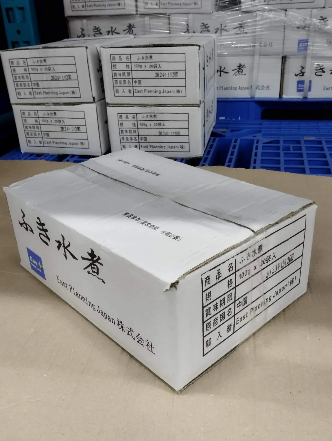 春の山菜！フキ水煮【100g×20袋】