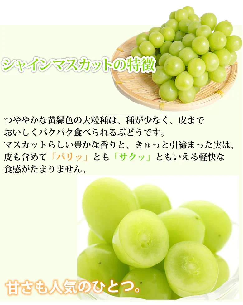 シャインマスカット ぶどう 送料無料 2kg 3〜5房 九州産 マスカット 葡萄 ブドウ
