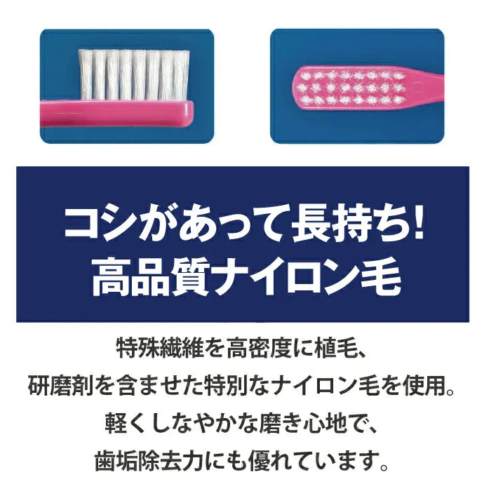 歯ブラシ まとめ買い Ci102AD Mふつう 100本入り