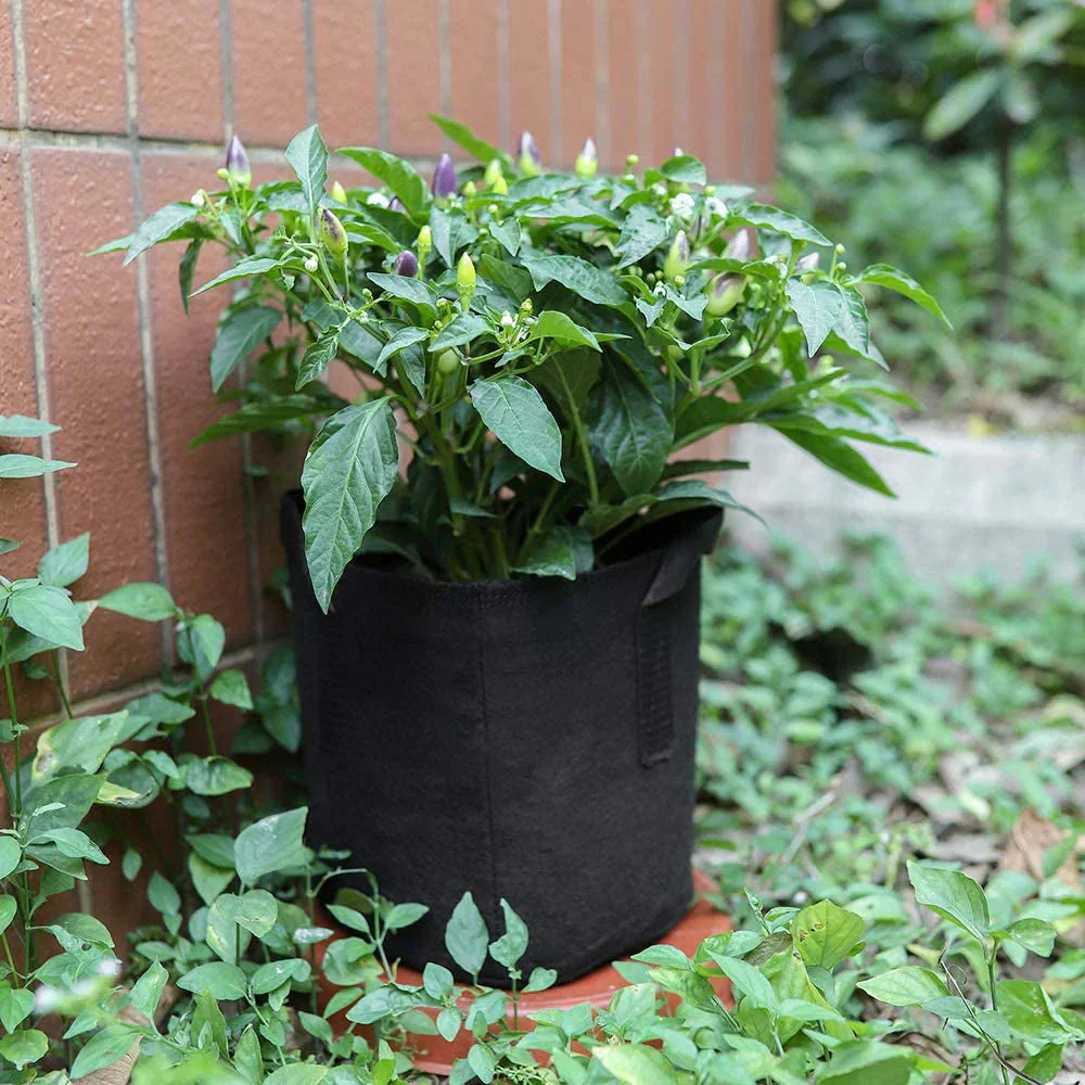 即納商品　5個セット 10ガロン　プランター 布鉢 栽培袋 フェルト 不織布ポット 植え袋 ガーデン 通気性 diy 園芸 植物育成 野菜栽培 大容量（w077-3）