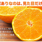 訳あり デコみかん 約5kg (5kg＋不良果保証250g) 送料無料 不知火 みかん ミカン 熊本県産 訳あり デコポン と同品種 熊本 柑橘 目玉商品 くまもと風土《7-14営業日以内に発送予定(土日祝除く)》
