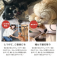 Deerhorn【xsサイズ】 北海道産 鹿角 ペット 犬 おもちゃ 小型犬 プレゼント いたずら防止 おやつ デンタルケア ガム 犬用 鹿の角 天然 無添加 チワワ トイプードル ミニチュアダックス ポメラニアン いぬ イヌ チワワ トイプードル