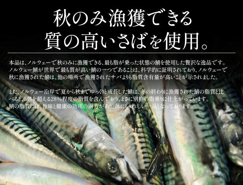 さば 無添加 無塩 トロさば サバ 鯖 約1kg(6〜8尾）トロ鯖 海鮮 天然 美味しい 魚 魚介 海産物 おかず おつまみ 乾き物 酒の肴 贈り物 お取り寄せグルメ 食べ物 おいしい 絶品