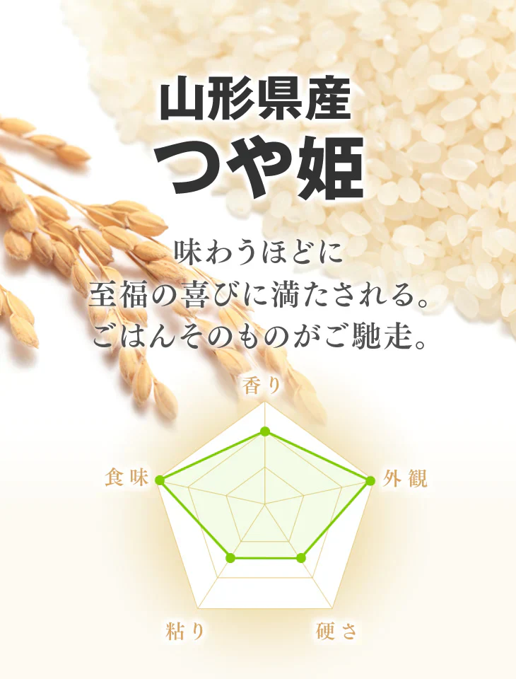 新米 令和5年産 山形県産 つや姫 精米 10kg(5kg×2) 送料無料※一部地域を除く rts1004