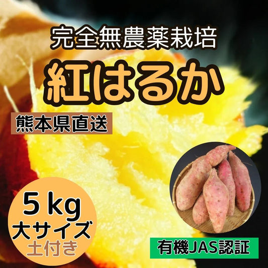 5kg 完全無農薬栽培【紅はるか】大サイズ 熊本直送（有機JAS認証 / 土付き）