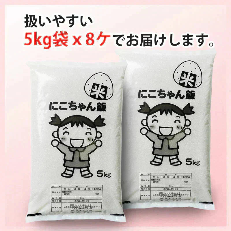 白米 40kg にこちゃん飯 国内産 送料無料 米40キロ こめ コメ お米 新米 お米40kg