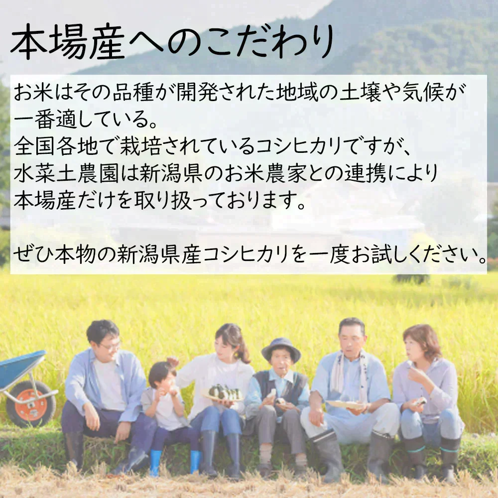 新潟県産 こしひかり 精米10kg（5kg×2袋） 令和7年産 【古代米プレゼント付き】
