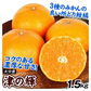みかん　大分産　津の輝　1.5kg　ご家庭用（発送予定：2025年1月下旬より）