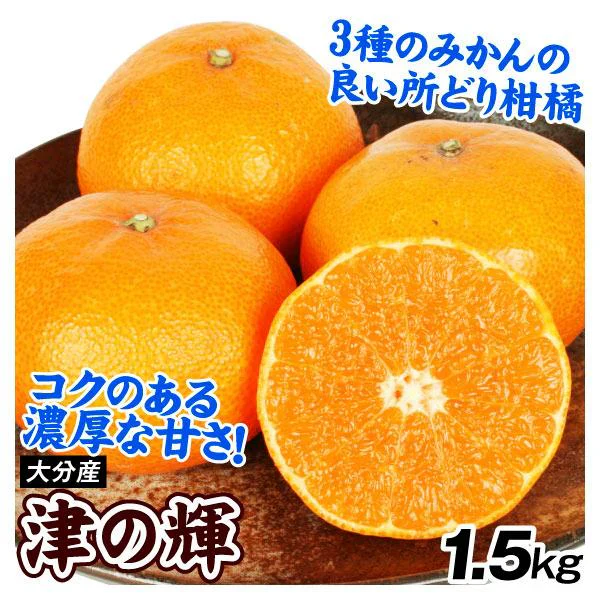 みかん　大分産　津の輝　1.5kg　ご家庭用（発送予定：2025年1月下旬より）