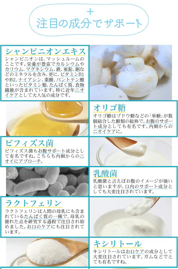 【大容量★約6ヶ月分】healthylife bless Tablet(ブレスタブレット)大容量 360粒 ニオイが気になる方のお口さわやかタブレット 口内 舌苔をケア 人と合う前に 食後に口臭 臭い お口ケア においケア 予防 エチケット タブレット 食後 起床後 口内 舌苔をケア 臭活サプリ 口臭予防 口腔ケア 体臭 加齢臭 対策 舌苔 臭い におい シャンピニオン ビフィズス菌 ラクトフェリン 緑茶カテキン スイカズラ パイナップル