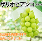 【9月上旬～中旬頃より順次出荷】ロザリオビアンコ ぶどう 送料無料 2kg 3～5房 〈クール便でお届け〉 福岡・熊本県産 シャインマスカット 葡萄 ブドウ